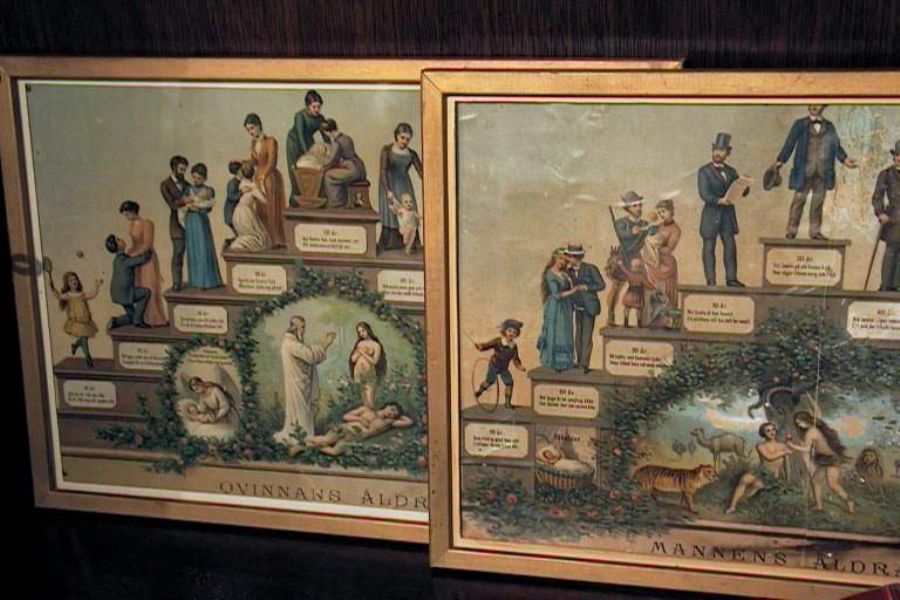 Eng katta ayol mushuk